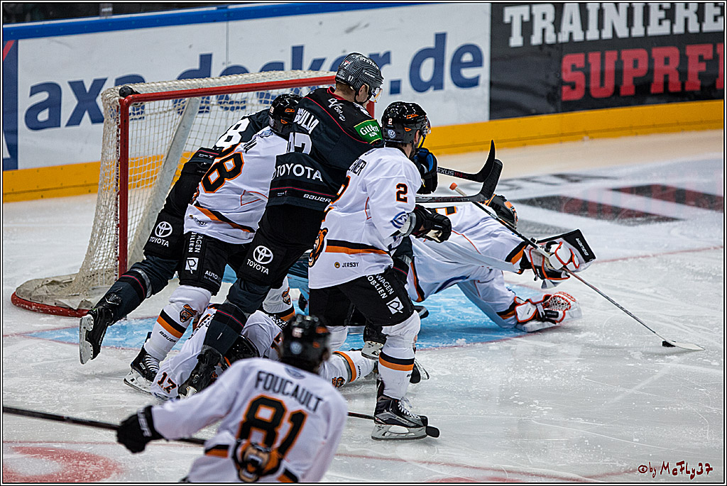 Koelner Haie - Grizzlys Wolfsburg, 16.10.2016, 16.10.2016